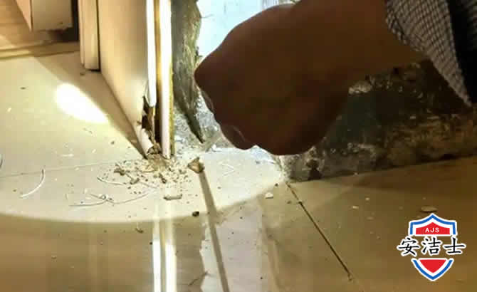 三亚房屋建筑防治白蚁