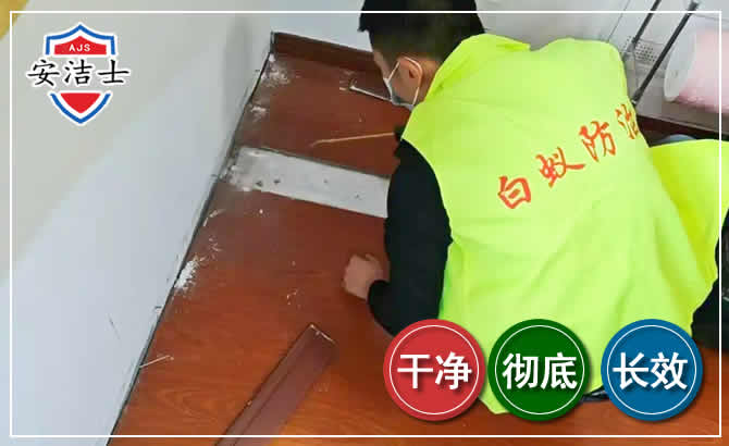 三亚除四害现场