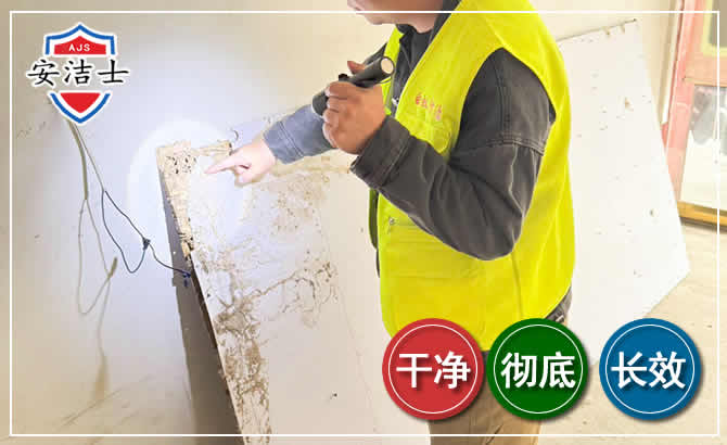 三亚除白蚁现场