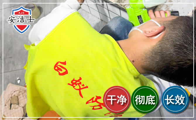 三亚白蚁根治现场